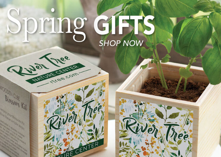 Customized Spring Gifts
